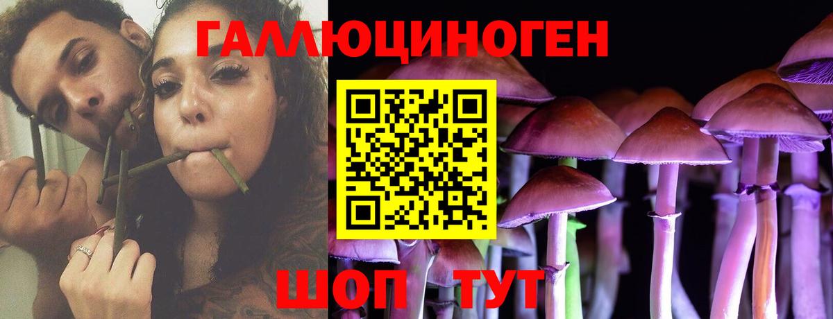 купить наркотик  Галлюциногенные грибы прущие грибы  Владимир  Вход с VPN  Псилоцибиновые грибы ЛСД 