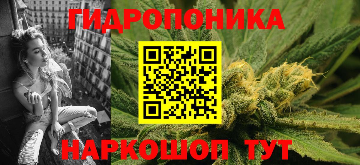Бошки Шишки конопля Владимир
